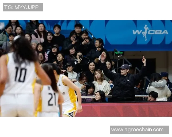 WCBA：客场取胜 山东高速女篮88-72战胜北京首钢园女篮